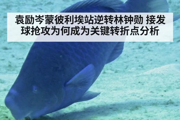 袁励岑蒙彼利埃站逆转林钟勋 接发球抢攻为何成为关键转折点分析